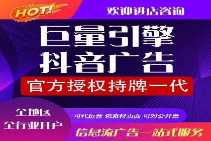 SEM代运营经典案例解析与启示